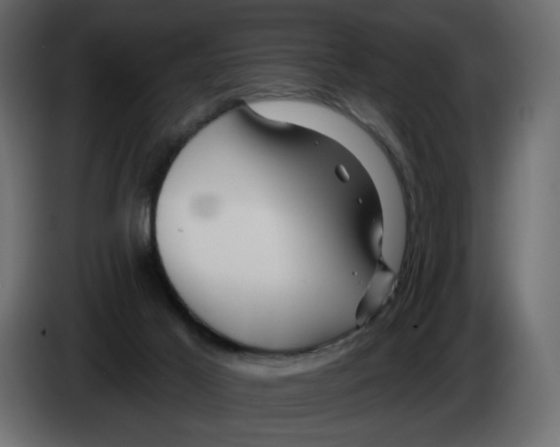 X0000082960021200703020222