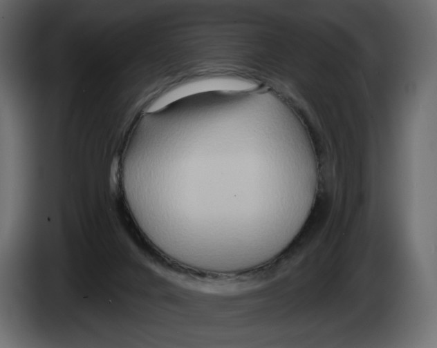 X0000082960024200703020222