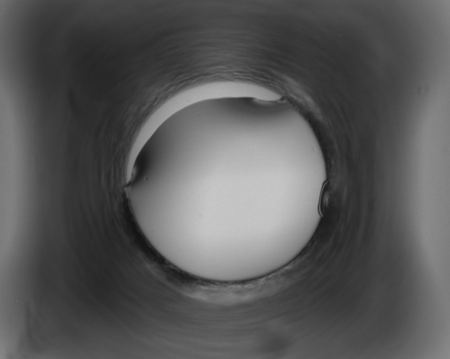 X0000082960025200703020222