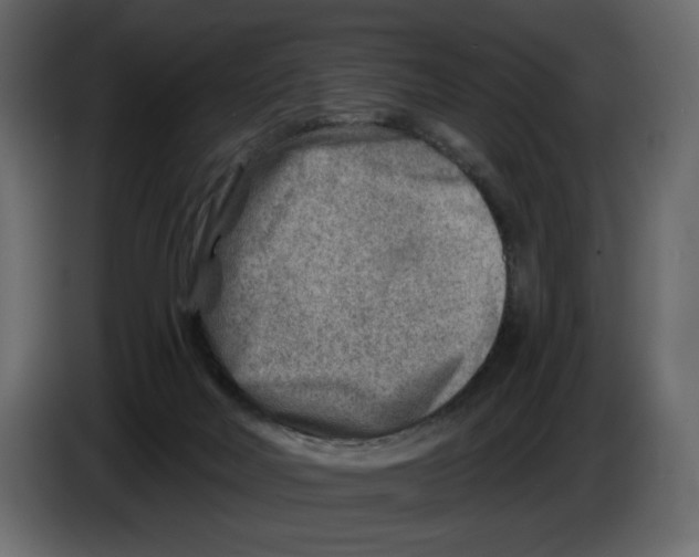 X0000082960026200703020222