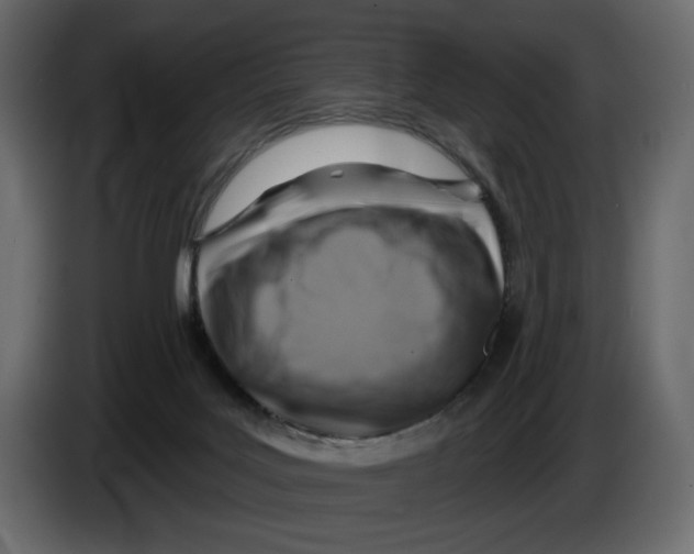 X0000082960027200703020222