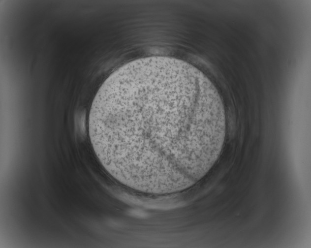 X0000082960028200703020222