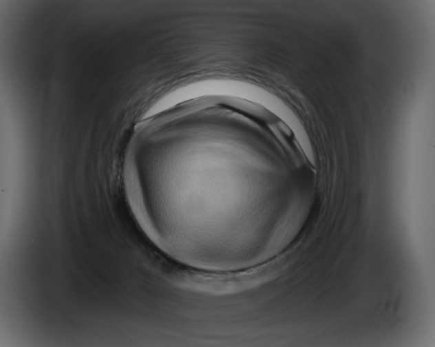 X0000082960029200703020222