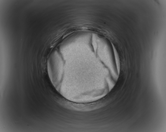 X0000082960030200703020222