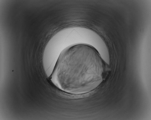 X0000082960031200703020222