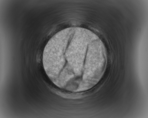 X0000082960032200703020222