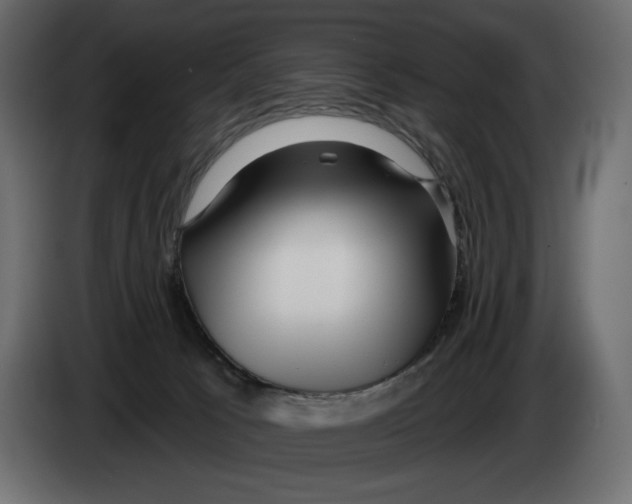 X0000082960033200703020222