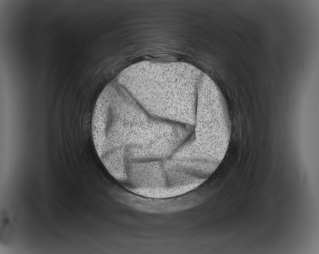 X0000082960034200703020222