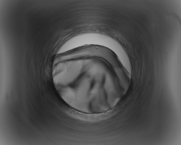 X0000082960035200703020222