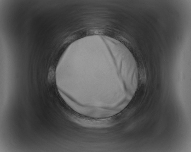 X0000082960036200703020222