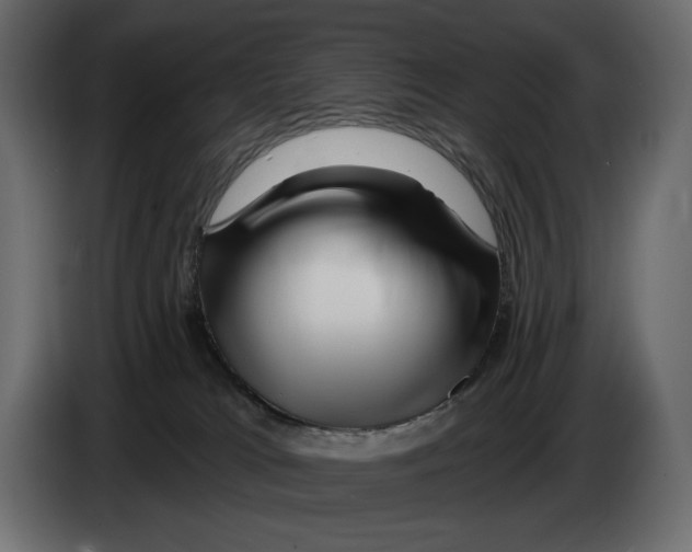 X0000082960037200703020222