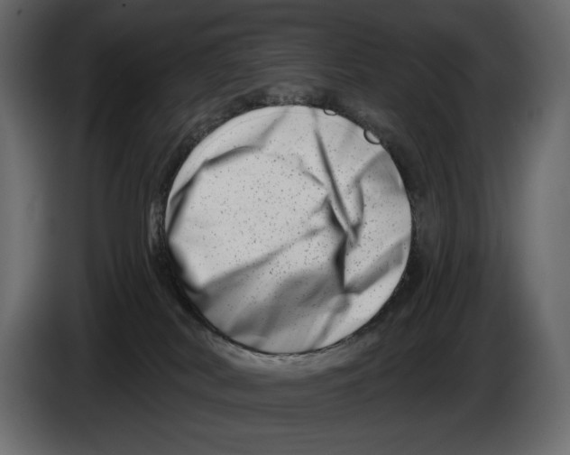 X0000082960038200703020222