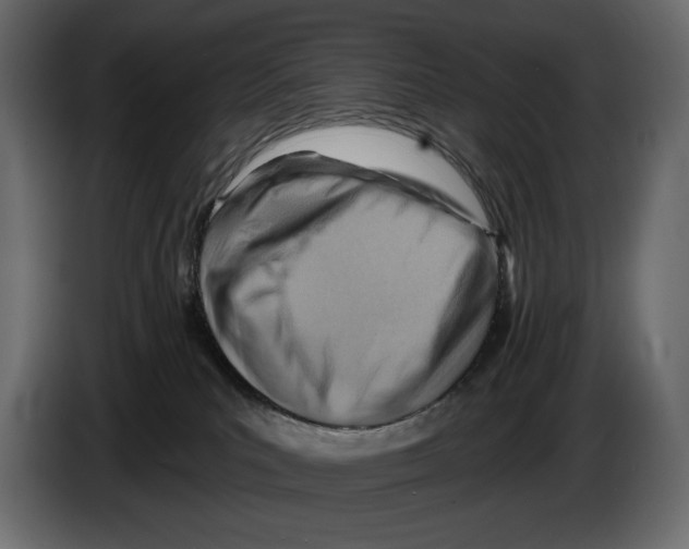 X0000082960039200703020222