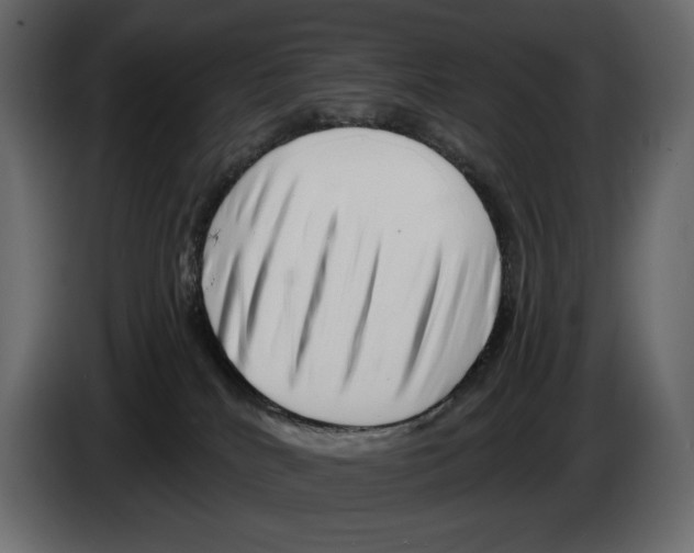 X0000082960040200703020222