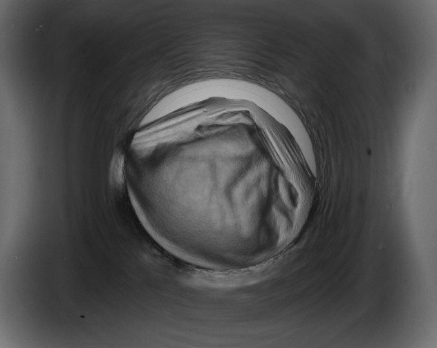 X0000082960041200703020222