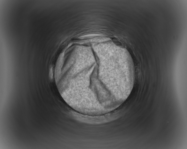 X0000082960042200703020222