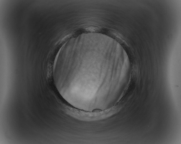 X0000082960043200703020222