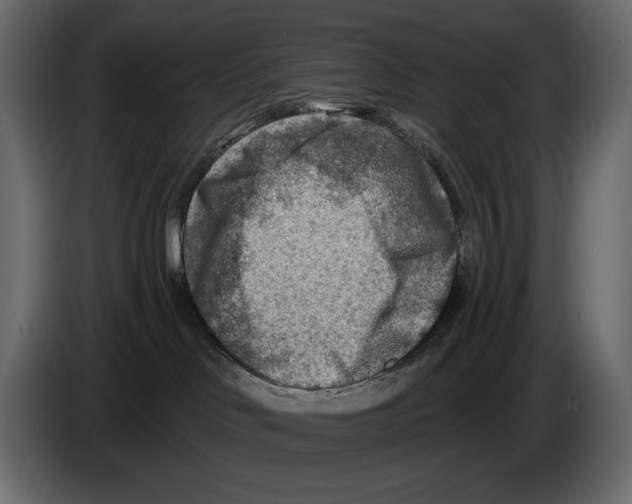 X0000082960046200703020222