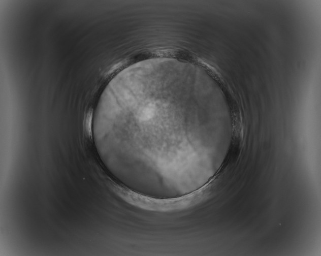 X0000082960047200703020222