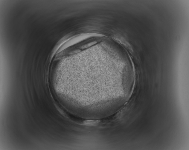 X0000082960051200703020221