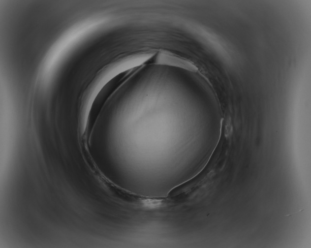 X0000082960052200703020221