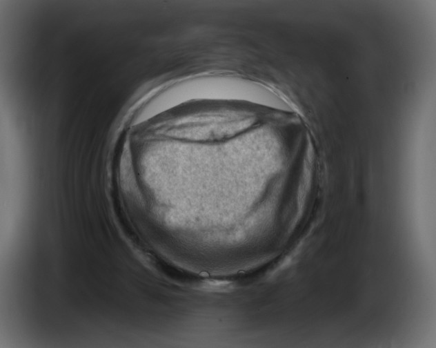 X0000082960055200703020221