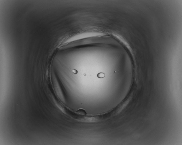 X0000082960057200703020221