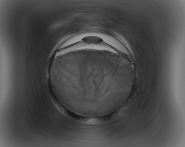 X0000082960059200703020221