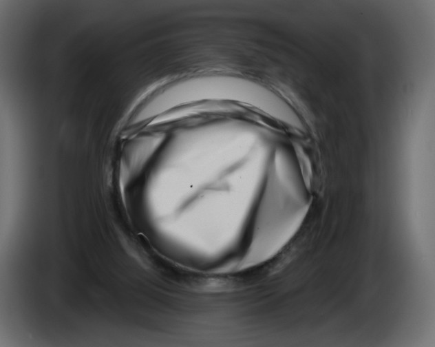 X0000082960060200703020221