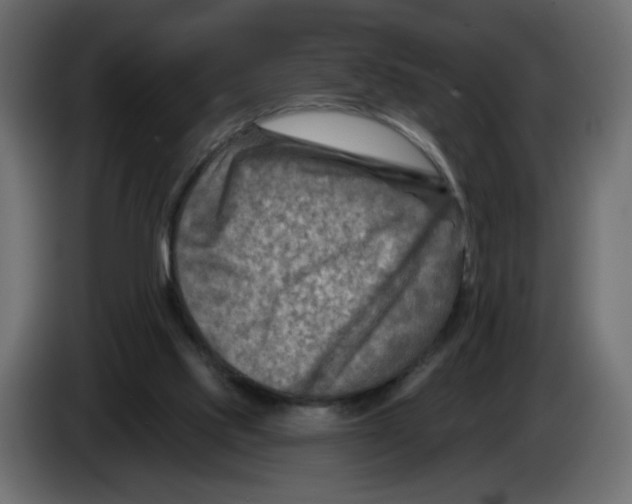 X0000082960061200703020221