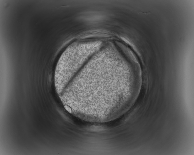 X0000082960063200703020221