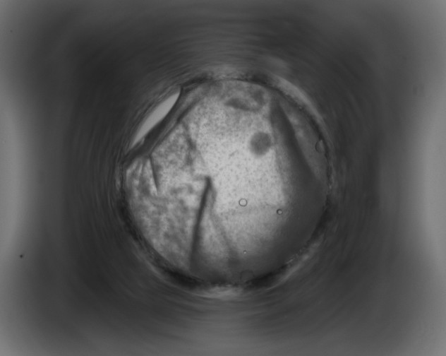 X0000082960065200703020221