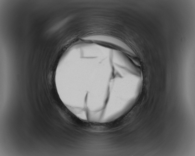 X0000082960066200703020221