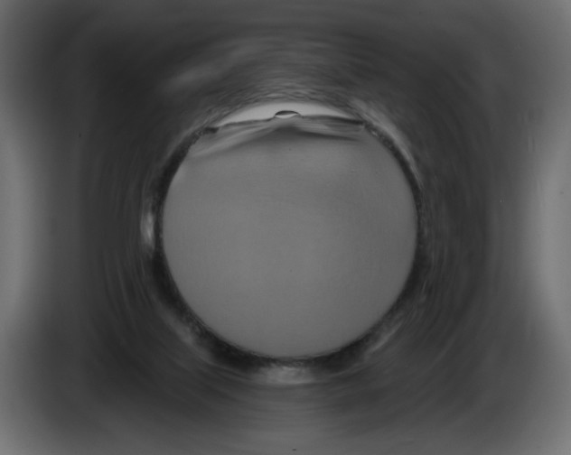 X0000082960067200703020221