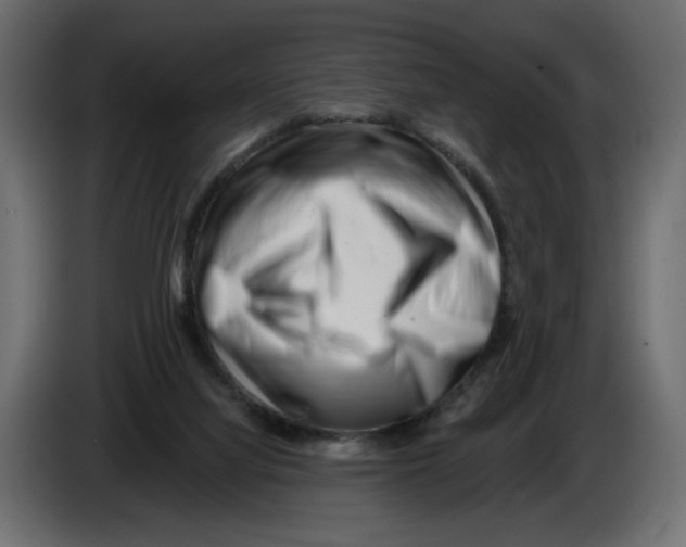 X0000082960068200703020221