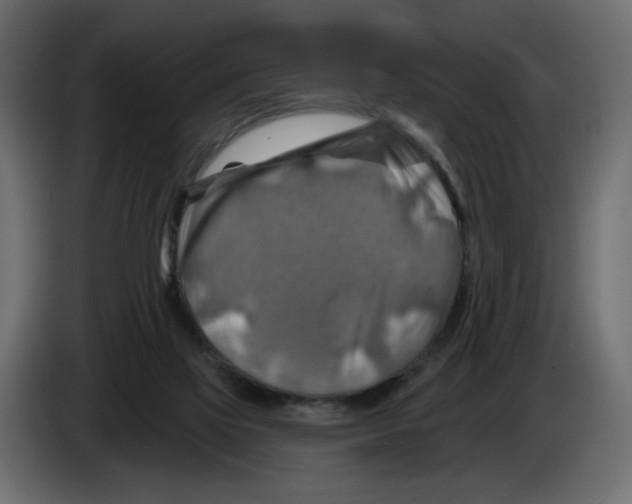 X0000082960069200703020221