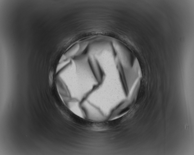 X0000082960070200703020221