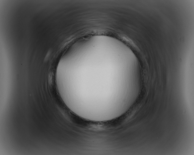 X0000082960071200703020221