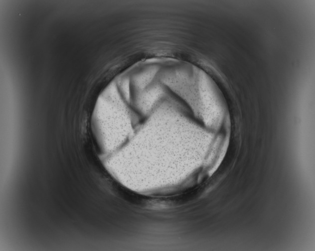 X0000082960073200703020221