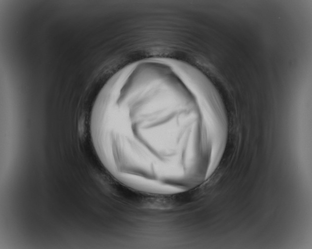 X0000082960074200703020221