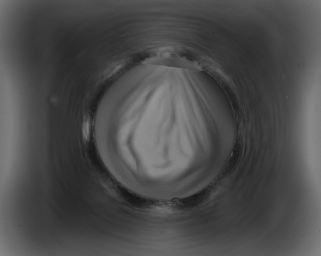 X0000082960076200703020222