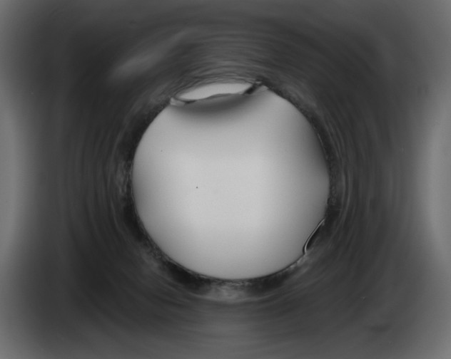 X0000082960078200703020222