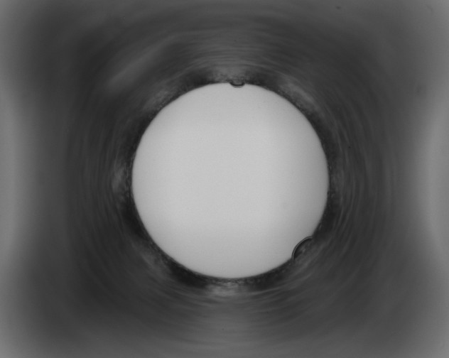 X0000082960079200703020222