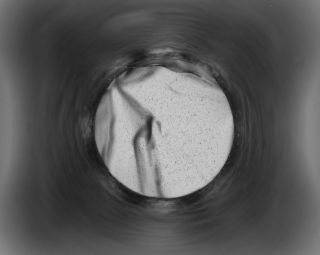 X0000082960081200703020222