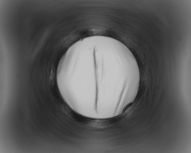 X0000082960082200703020222