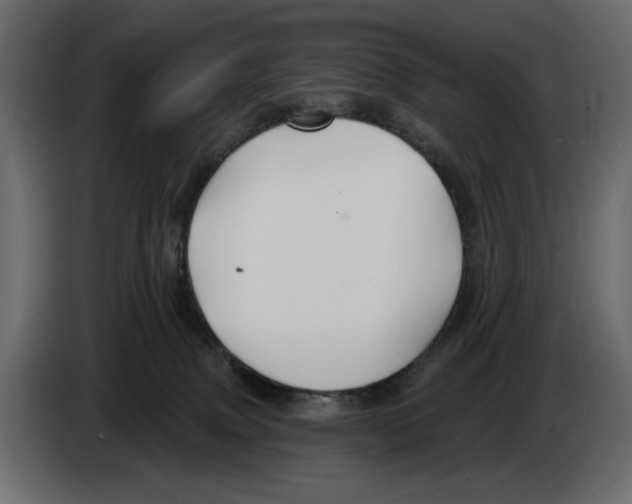 X0000082960083200703020222