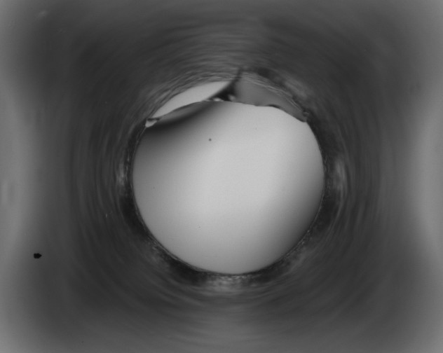 X0000082960084200703020222