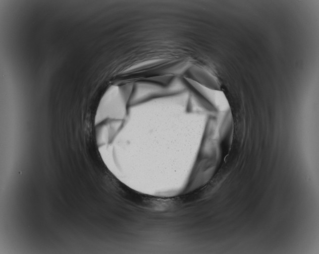 X0000082960085200703020222