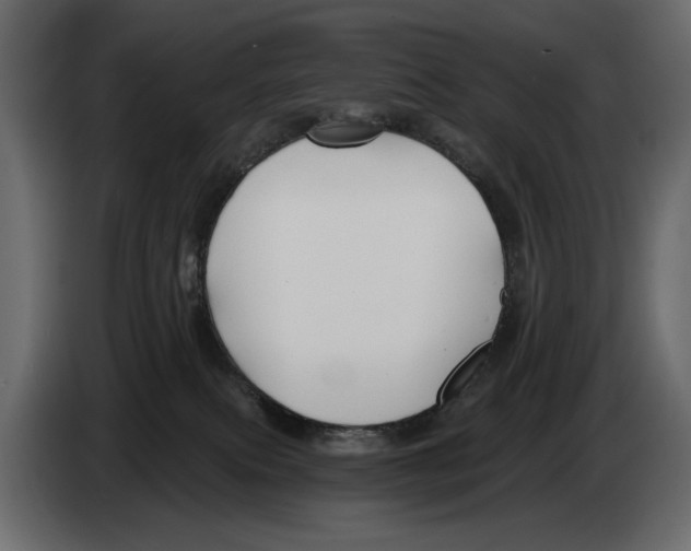 X0000082960087200703020222