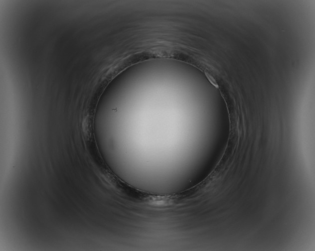 X0000082960088200703020222